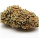 Шишки AK47 (Гидропоника, Бошка) VHQ в Вязьме Шишки AK47 (Гидропоника, Бошка) VHQ в Вязьме